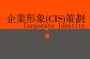 廣告、營(yíng)銷、品牌與企業(yè)策劃 戰(zhàn)略協(xié)同下的廣告設(shè)計(jì)核心