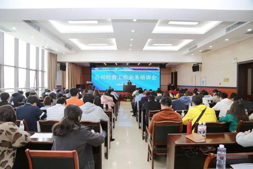 凝心聚智提效能，蓄勢賦能謀新篇——公司召開經營工作業務培訓會